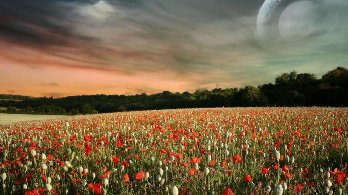 NAS明明没那么好用，为什么还有那么多人坚持选择使用？